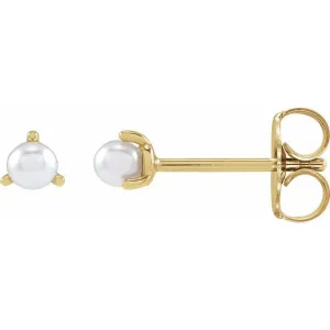 14K Yellow Gold Cultured White Seed Pearl Earrings