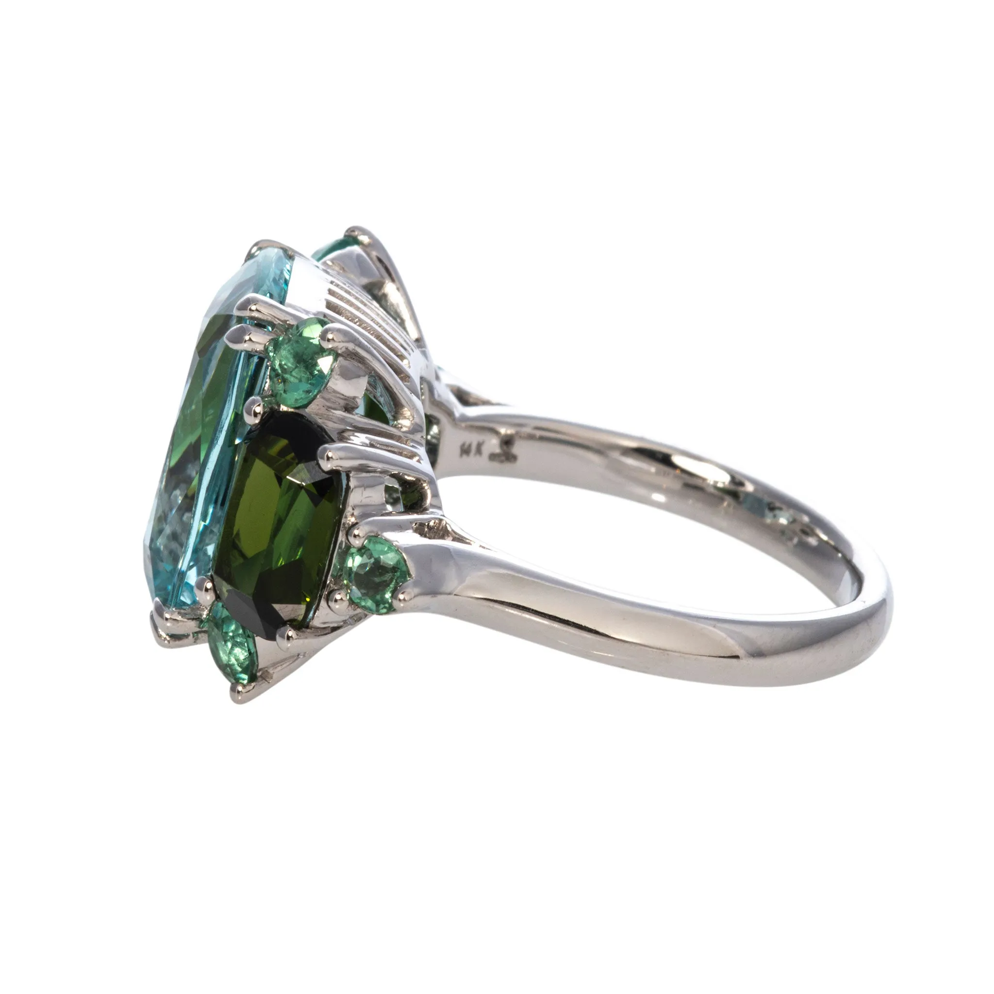 6.5ctw Aquamarine & 3ctw Green Tourmaline 14K White Gold Ring