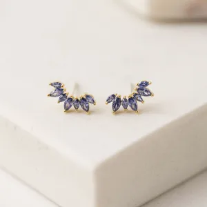 Crown Climber Earrings